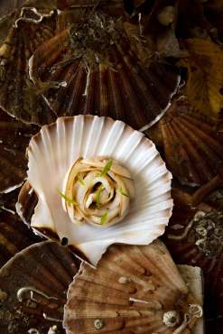 Restaurant - Jardin des plumes